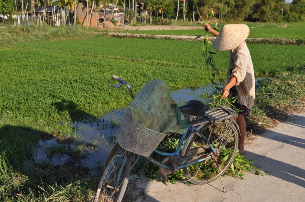 <i><b>Hoi An-079</b></i>